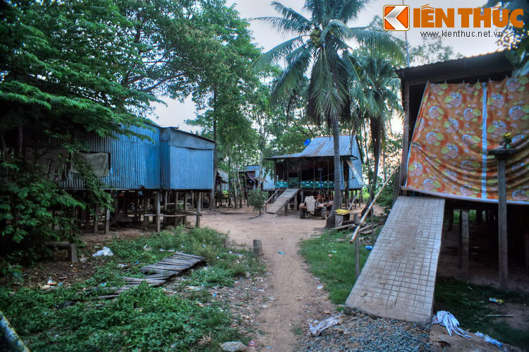 Ngoài ra, những ngôi nhà đặc biệt này cũng xuất hiện cả bên các đường quốc lộ, tỉnh lộ hoặc các chòm xóm nằm xa kênh rạch.