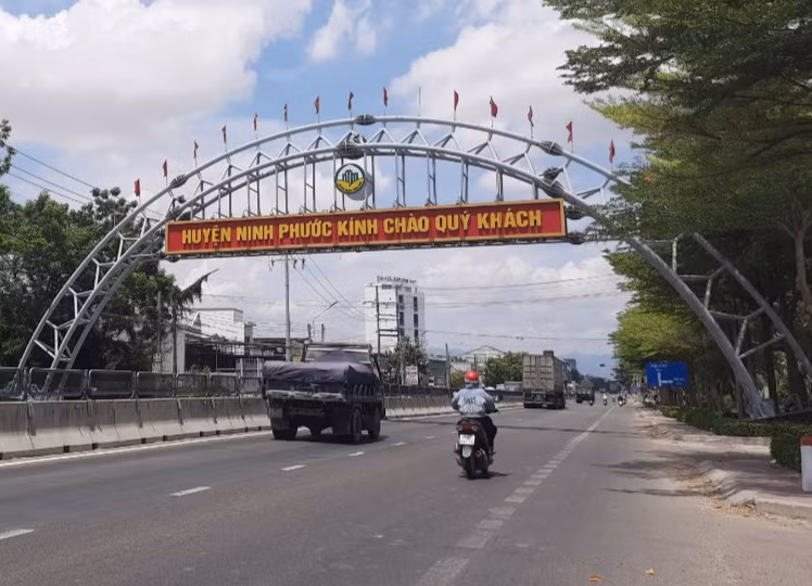 Cong ty Toan Tam Ninh Thuan co giu vung ky luc trung thau 100%?-Hinh-2