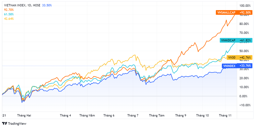 Cong ty kinh doanh bet bat nhung gia co phieu van tang hang chuc lan