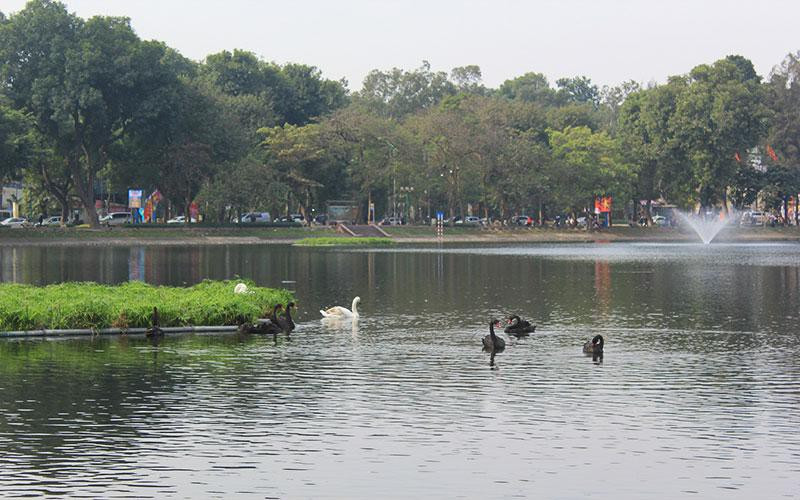 Ha Noi noi ve chu truong mo pho di bo khu Cong vien Thong nhat va ho Thien Quang