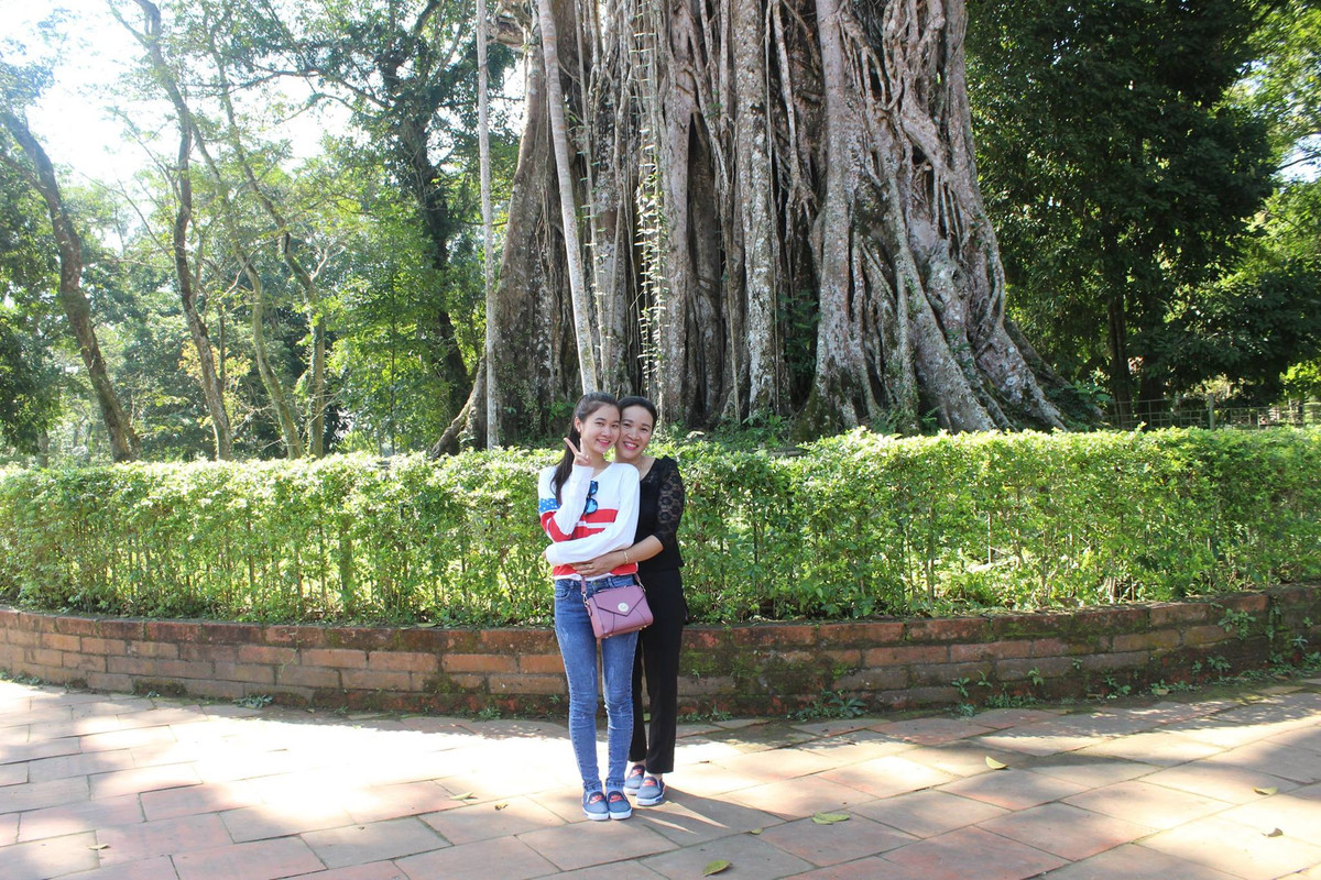 Chuyen giat minh loat “quai cay” tram tuoi hoi tu o dien Lam Kinh-Hinh-3