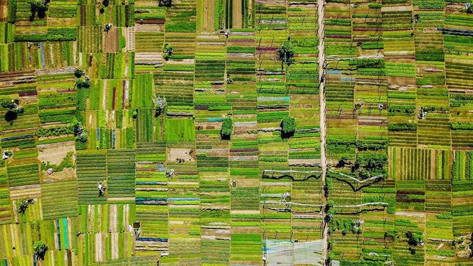 Việt Nam: Cuối cùng chính là Việt Nam - đất nước châu Á duy nhất trong danh sách. Với thời tiết đa dạng quanh năm và cảnh đẹp phân bố rộng khắp, đây là một nơi thú vị dành cho những người muốn tìn kiếm điều mới mẻ chưa từng biết. Ngoài ra, Việt Nam cũng có những địa hình phong phú đáng để trải nghiệm và khám phá bằng xe máy như: Đồi núi, đại dương và rừng mưa.