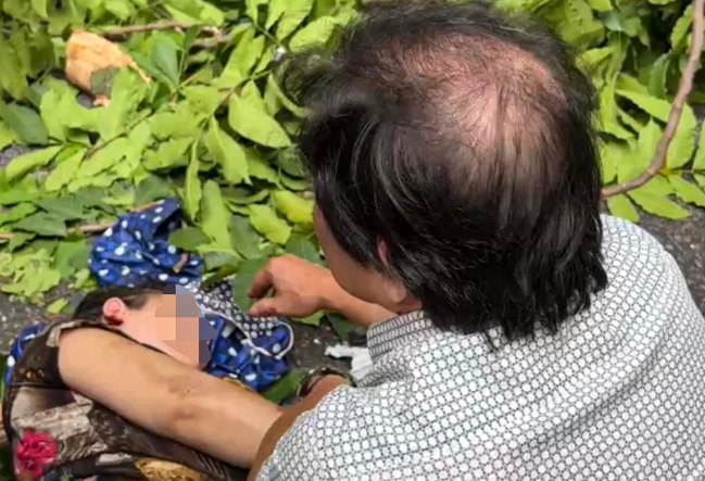 Ha Noi: Cay co thu do de trung, nguoi phu nu bi thuong