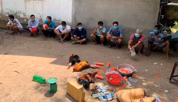  Triệt xóa, bắt quả tang 12 đối tượng đá gà ăn tiền: Ngày 4/11, Công an tỉnh Vĩnh Long cho biết vừa triệt xóa tụ điểm đá gà, bắt quả tang 12 đối tượng đang tổ chức đá ăn tiền. Tại hiện trường, Công an thu giữ 4 con gà, 5 cặp cựa, 1 cái cân loại 5kg, 10 cuộn băng keo đã qua sử dụng, 4 dụng cụ dùng mài cựa. Ngoài ra, tạm giữ số tiền 54,6 triệu đồng và 4 xe mô tô. 