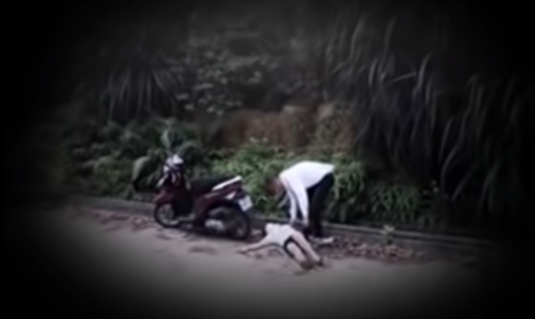 Trong khi tâm sự, Diễn hỏi vay tiền nhưng Ngần từ chối với lý do là không có tiền. Không vay được tiền, Diễn quay sang gạ gẫm mượn xe máy của chị Ngần để mang đi “cắm” vì trước đây khi còn yêu nhau Diễn đã từng cho chị Ngần 2 triệu đồng để mua xe máy. Tuy nhiên chị Ngần đã thẳng thừng từ chối lời đề nghị của Diễn. Vì lý do này mà 2 người xảy ra cãi vã. Diễn đã tát chị Ngần rồi sau đó vòng ra sau lưng dùng tay siết cổ chị Ngần cho đến khi chị Ngần tắc thở. 