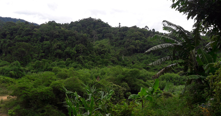 Khi mọi người vừa chạy đến nơi, ai nấy đều bàng hoàng khi biết người đàn ông nằm trên vũng máu chính là anh Lường Văn Q. (SN 1968, trú tại Phiên Mựt, Mường Giôn, Quỳnh Nhai), Công an viên của xã. Mọi người nhanh chóng đưa anh Q. đến cấp cứu tại trạm Y tế xã Mường Giôn, sau đó chuyển lên bệnh viện đa khoa huyện Quỳnh Nhai nhưng do vết thương quá nặng, anh Q. đã tử vong. (Ảnh minh họa) 
