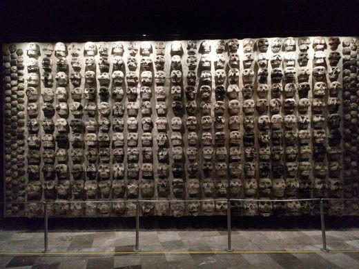 Nhà nhân chủng học Rodrigo Bolanos cho biết, các nhà nghiên cứu đã hy vọng số hộp sọ đó chỉ thuộc về thanh niên như nam chiến binh.