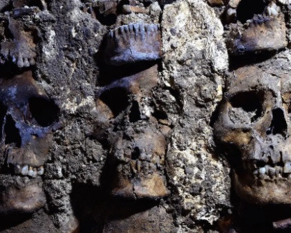 Thế nhưng, kết quả kiểm tra cho thấy có cả hộp sọ của phụ nữ và trẻ em. Đây là lần đầu tiên họ ghi nhận sự việc này trong Huey Tzompantli.