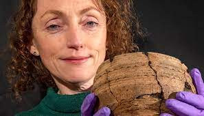 Nền văn hóa Beaker khởi đầu ở Trung Âu với tổ tiên đến từ thảo nguyên Á - Âu. Họ tới Anh vào khoảng năm 2400 trước Công nguyên.