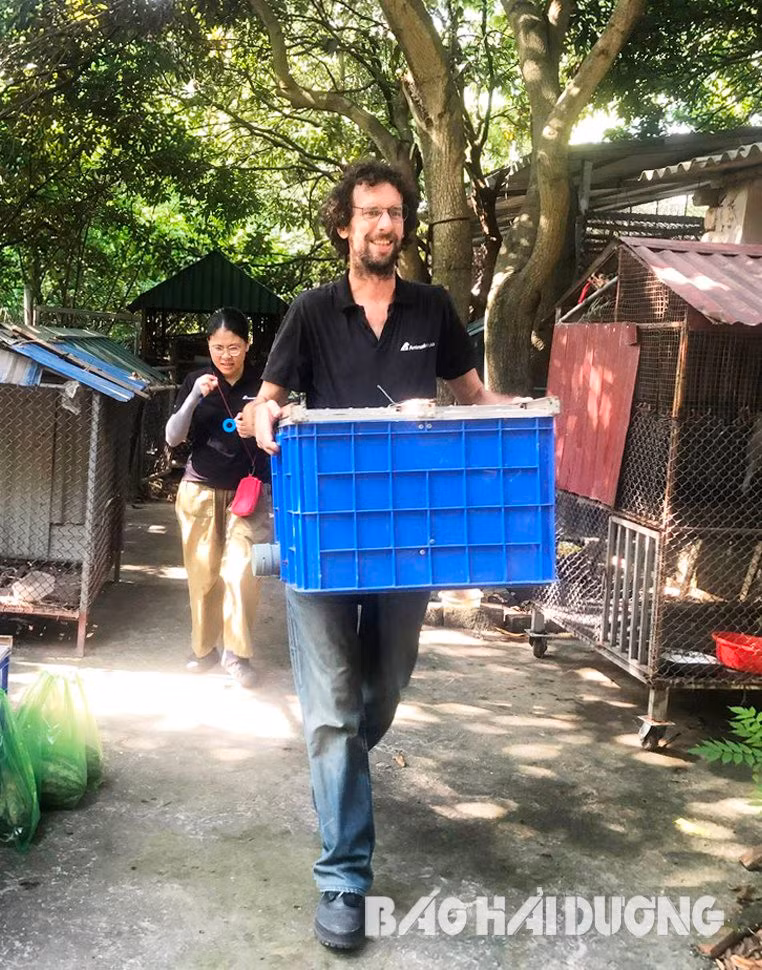 Đây là đợt bàn giao thứ 2 cho Vườn quốc gia Vũ Quang trong tổng số 25 cá thể khỉ thuộc 4 loài khỉ quý hiếm gồm: khỉ đuôi lợn, khỉ mặt đỏ, khỉ vàng và khỉ mốc. Số khỉ này đã được nuôi trong nhiều năm tại chùa Nhẫm Dương. Trước đó, 14 cá thể khỉ đã được bàn giao đợt 1 vào ngày 3/7.