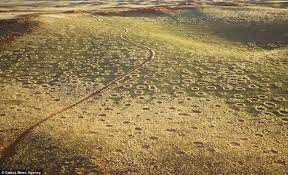 Thông qua việc xác định được 263 vòng tròn thần tiên ở 15 nước thuộc 3 lục địa, nhóm nghiên cứu tiến hành phân tích sâu hơn và phát hiện những điểm tương đồng về điều kiện môi trường tại các địa điểm này.