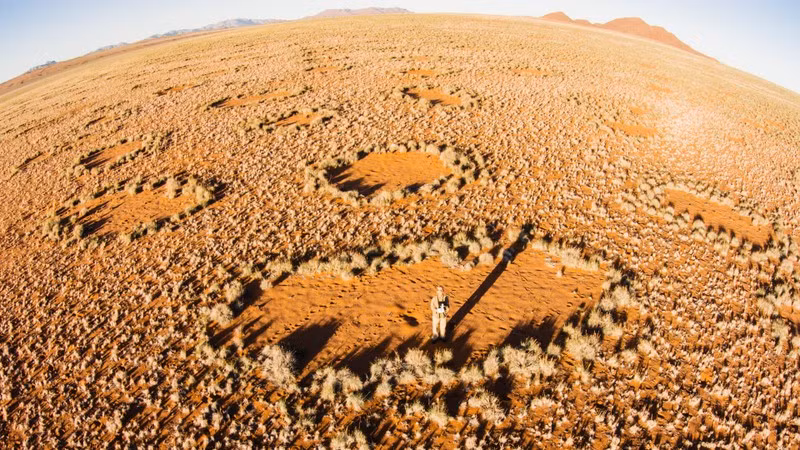 Tuy nhiên, các địa điểm cũng tồn tại một số khác biệt. Vì vậy, nhóm nghiên cứu tin rằng các "vòng tròn thần tiên" có thể hình thành theo những cách khác nhau ở những địa điểm khác nhau.