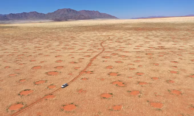 Theo nghiên cứu mới công bố trên tạp chí PNAS, các chuyên gia cho biết đã sử dụng ảnh vệ tinh và trí tuệ nhân tạo (AI) để lập bản đồ 263 cấu trúc thực vật hình tròn bí ẩn hay còn gọi " vòng tròn thần tiên" xuất hiện ở 15 nước.