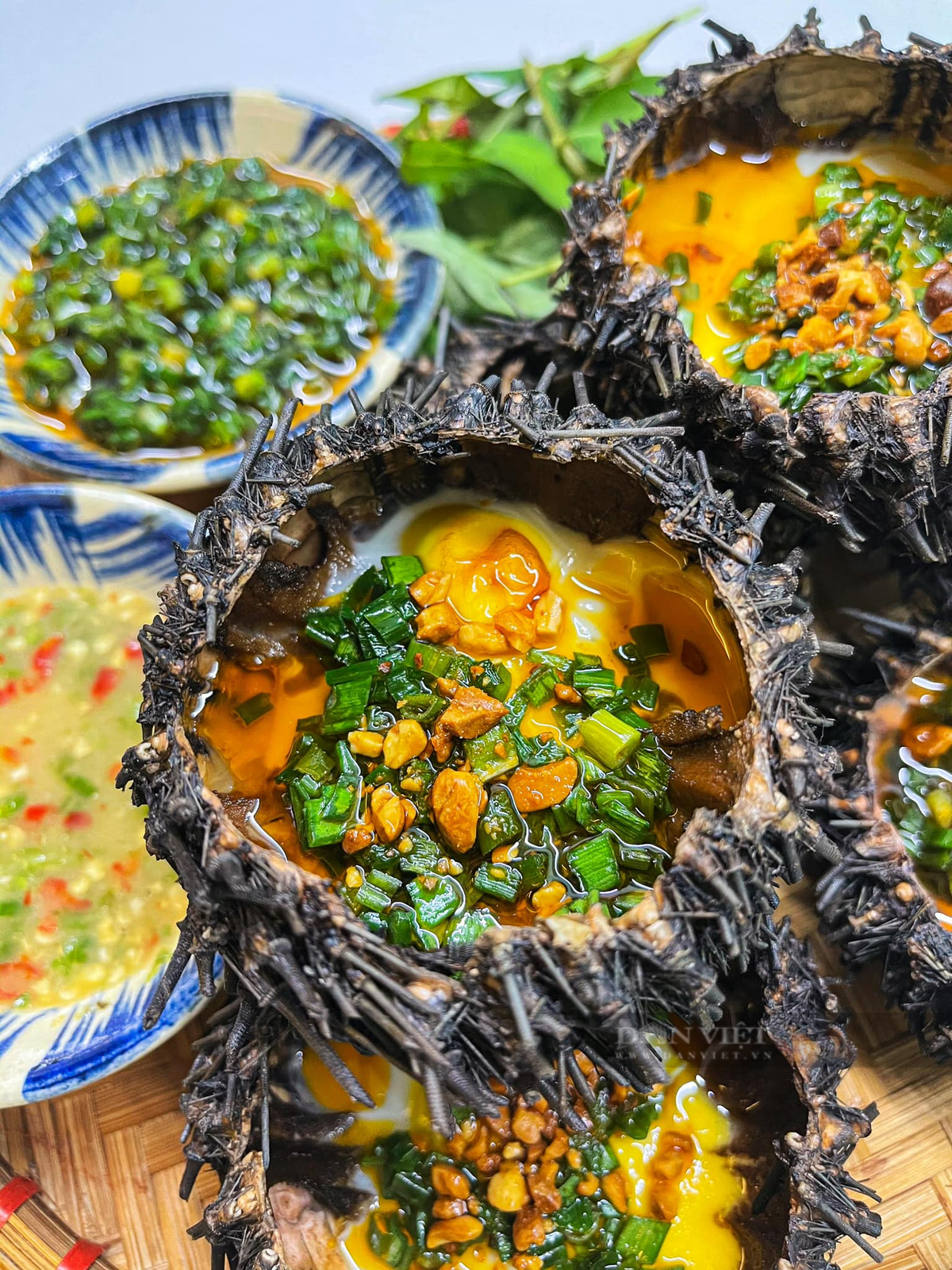 Loai dong vat xau xi, vi nhu “nhan sam cua bien”-Hinh-2