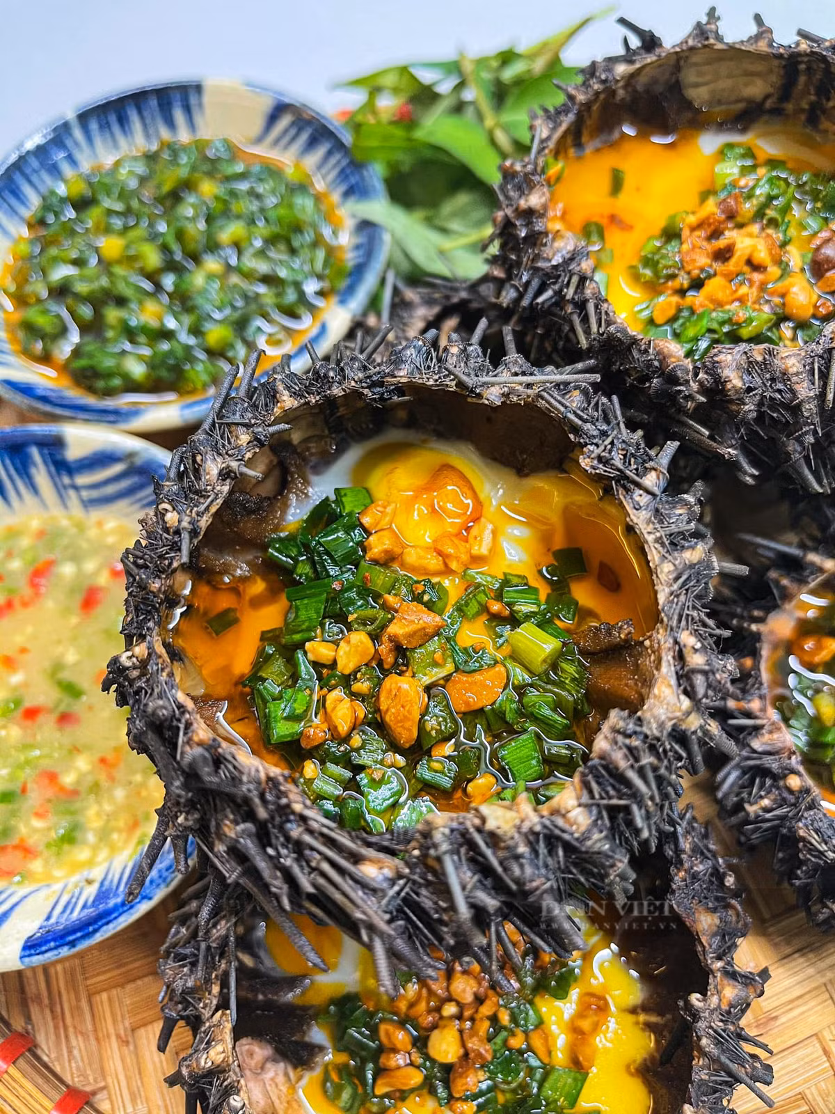 Loai dong vat xau xi, vi nhu “nhan sam cua bien”-Hinh-2