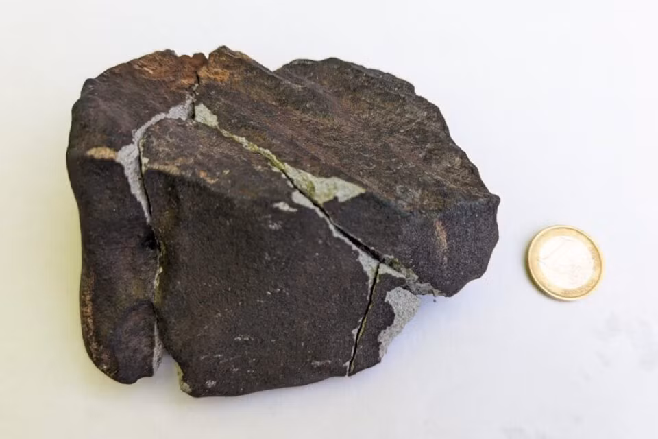 Ba mảnh thiên thạch được tìm thấy trong vườn nhà người phụ nữ sau đó được chuyển tới Bảo tàng Lịch sử tự nhiên ở Pháp để các chuyên gia phân tích kỹ hơn.