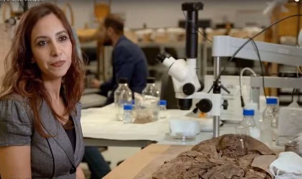 Thế nhưng, kết quả nghiên cứu khiến các chuyên gia vô cùng bất ngờ. Tiến sĩ Yasmin El Shazly là nhà Ai Cập học và là người đứng đầu một nhóm các nhà khảo cổ đã cùng các đồng nghiệp, cộng sự tiến hành ghép những mảnh gỗ được phát hiện ở trong phòng chôn cất tại kim tự tháp.