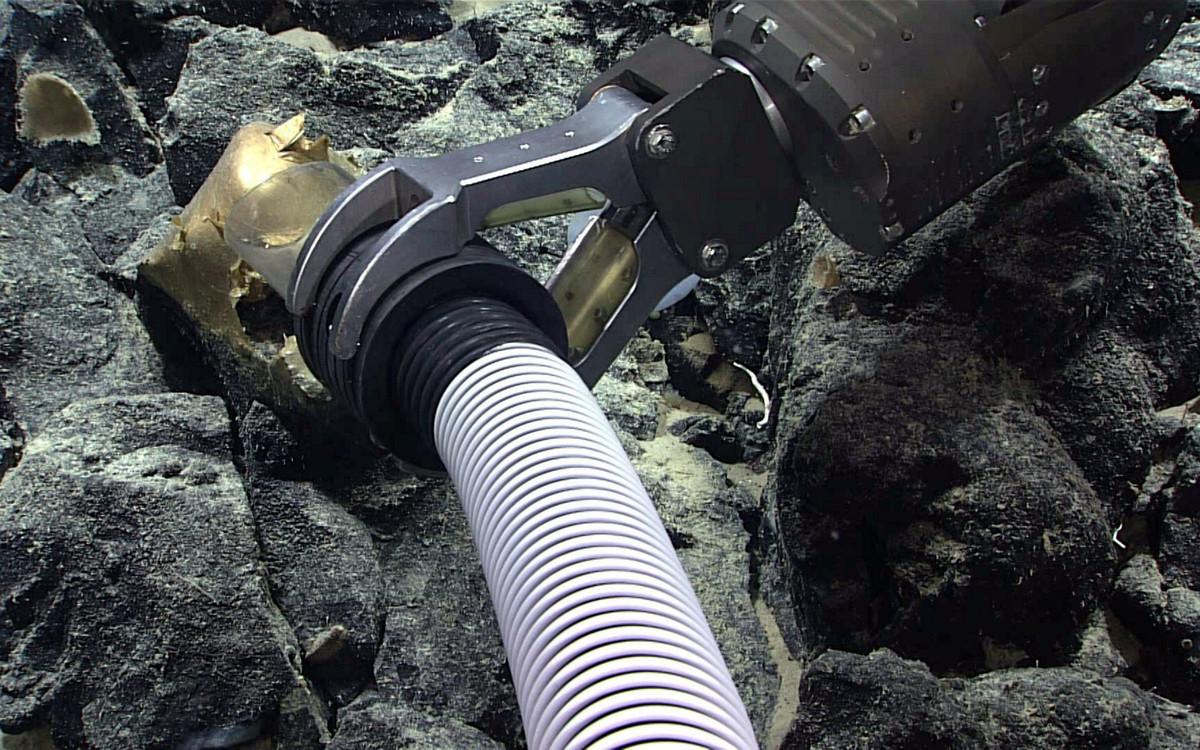 Hiện các chuyên gia của NOAA chưa thể xác định nguồn gốc của "quả trứng vàng" dưới đáy biển ngoài khơi Alaska. Tuy nhiên, họ cho rằng nó có thể là vỏ trứng hoặc phần còn lại của bọt biển.