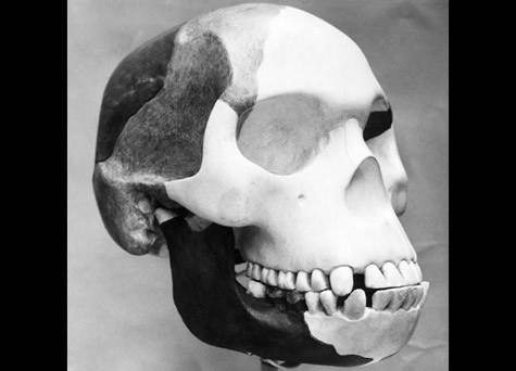 Tuy nhiên, đến những năm 1950, với sự phát triển của công nghệ hiện đại, các nhà khoa học phát hiện hóa thạch Người Piltdown mà ông Woodward và Dawson tìm thấy chỉ dưới 50.000 năm tuổi. Hóa thạch này nhiều khả năng là của một người hiện đại, trong đó phần quai hàm có thể thuộc về một con tinh tinh thời hiện đại.