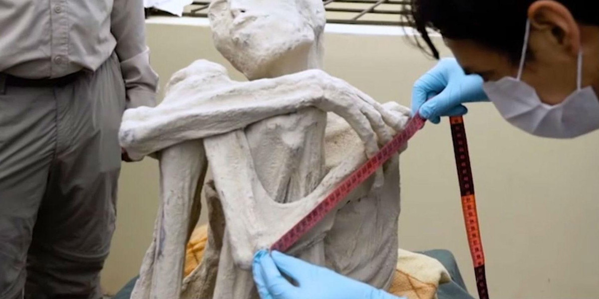 Để giải mã bí ẩn này, các chuyên gia đã thực hiện một số kiểm tra, phân tích xác ướp Maria. Theo đó, họ nhận được kết quả bất ngờ.