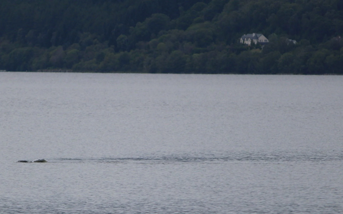 "Tôi đang chụp ảnh Scott và con gái Alisa, khi ấy 5 tuổi, bằng máy ảnh Canon thì sinh vật này di chuyển từ phải sang trái với tốc độ ổn định, cách bờ khoảng 200m... Chúng tôi chưa bao giờ nhìn thấy phần đầu hoặc cổ. Sau vài phút nó biến mất và chúng tôi không bao giờ nhìn thấy nó nữa", bà Chie Kelly nói về khoảnh khắc nhìn thấy quái vật hồ Loch Ness trồi lên mặt nước và chụp ảnh.