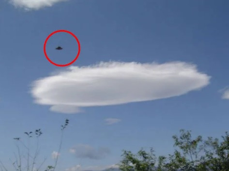 Ông Takeharu Mikami và đồng nghiệp đã kiểm tra, phân tích những bức ảnh và video trên bằng những phần mềm đặc biệt để đảm bảo chúng không bị làm giả.