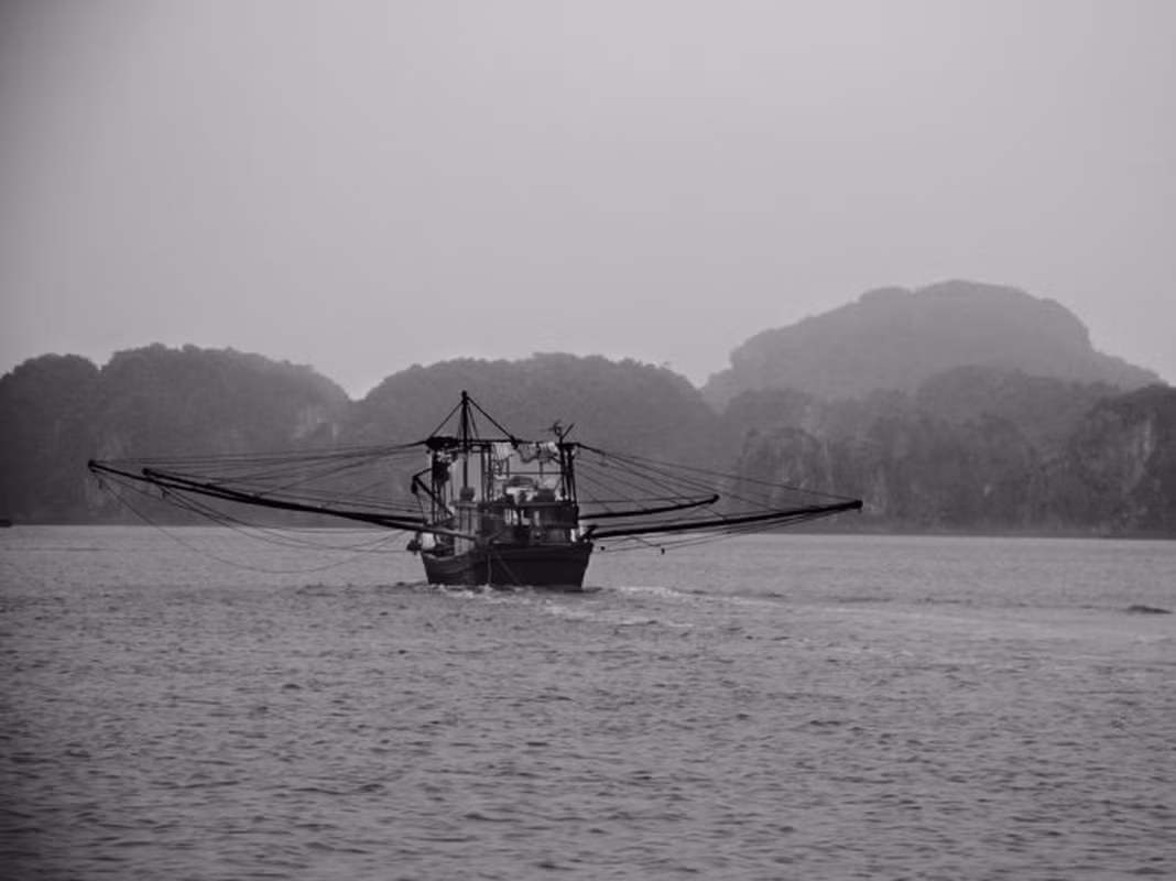 Năm 1962, Vịnh Hạ Long được Bộ Văn hóa - Thông tin nay là Bộ Văn hóa, Thể thao và Du lịch xếp hạng là Di tích danh thắng cấp quốc gia. Ảnh: Lucy Sexton/Condé Nast Traveler.