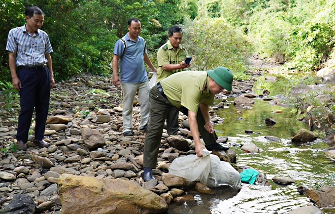 Hạt Kiểm lâm huyện Cam Lộ (tỉnh Quảng Trị) phối hợp với Ban Quản lý Khu bảo tồn thiên nhiên Đakrông thả con trăn nặng gần 25 kg về môi trường tự nhiên ở Khu bảo tồn thiên nhiên Đakrông (huyện Đakrông, tỉnh Quảng Trị).