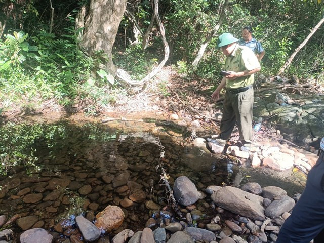 Trước khi được thả về lại môi trường tự nhiên, cá thể trăn “khủng” được lực lượng chức năng cứu hộ và chăm sóc khỏe mạnh.