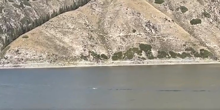 Sự việc này đã thu hút sự chú ý của cô Li nên quan sát xung quanh xem tiếng động đó phát ra từ đâu. Nhờ đó, cô nhìn thấy một sinh vật khổng lồ ở giữa hồ. Nó cách cô khoảng 180m.