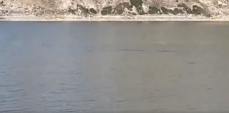 Do video quay từ khoảng cách khá xa và chất lượng video kém, hình ảnh không rõ nét nên nhân viên tại khu danh lam thắng cảnh hồ Tianchi không thể xác định thứ mà cô Li nhìn thấy có thực sự là "thủy quái" hay không.