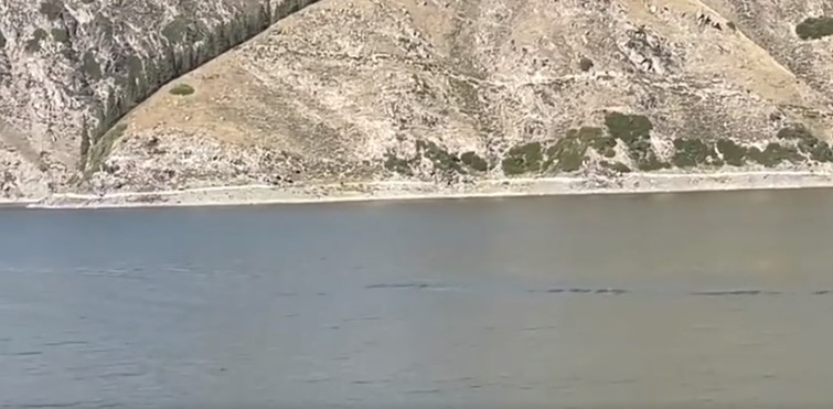 Trong video dài 16 giây mà cô Li quay được, "thủy quái" bí ẩn đã khuấy động mặt hồ tĩnh lặng khi nó nổi một phần nhỏ cơ thể lên mặt nước và gây ra những gợn sóng nhỏ rồi biến mất.