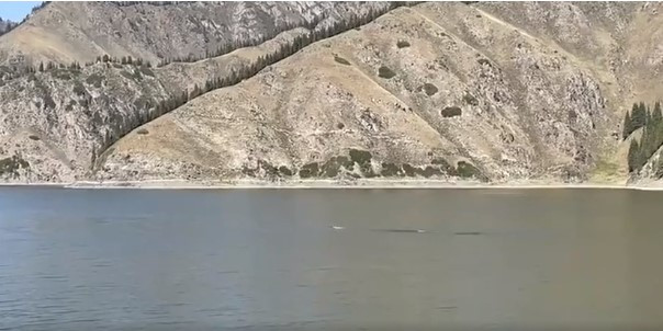 Cô Li cho hay đã quay được video về sinh vật bí ẩn trên vào khoảng 16h chiều ngày hôm đó khi đang đi dạo dọc bờ hồ Tianchi.