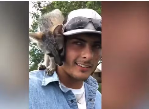 "Tôi sẽ luôn nhớ người bạn nhỏ của mình", anh Malachi chia sẻ về chú cáo nhỏ mà mình đem về nuôi cứ ngỡ là chó hoang.