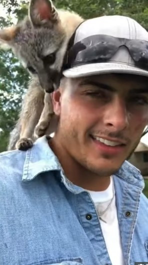 Anh Malachi yêu thương con cáo tới mức coi nó như "coi trai". Dù rất thích chú cáo nhỏ này vì cả hai đã có một khoảng thời gian thân thiết, gắn bó nhưng anh vẫn quyết định đưa nó tới một trung tâm phục hồi dành cho các động vật hoang dã ở bang Texas.