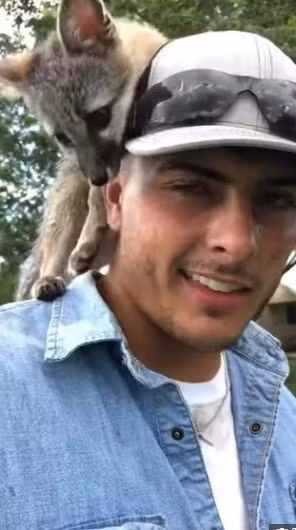 Anh Malachi yêu thương con cáo tới mức coi nó như "coi trai". Dù rất thích chú cáo nhỏ này vì cả hai đã có một khoảng thời gian thân thiết, gắn bó nhưng anh vẫn quyết định đưa nó tới một trung tâm phục hồi dành cho các động vật hoang dã ở bang Texas.