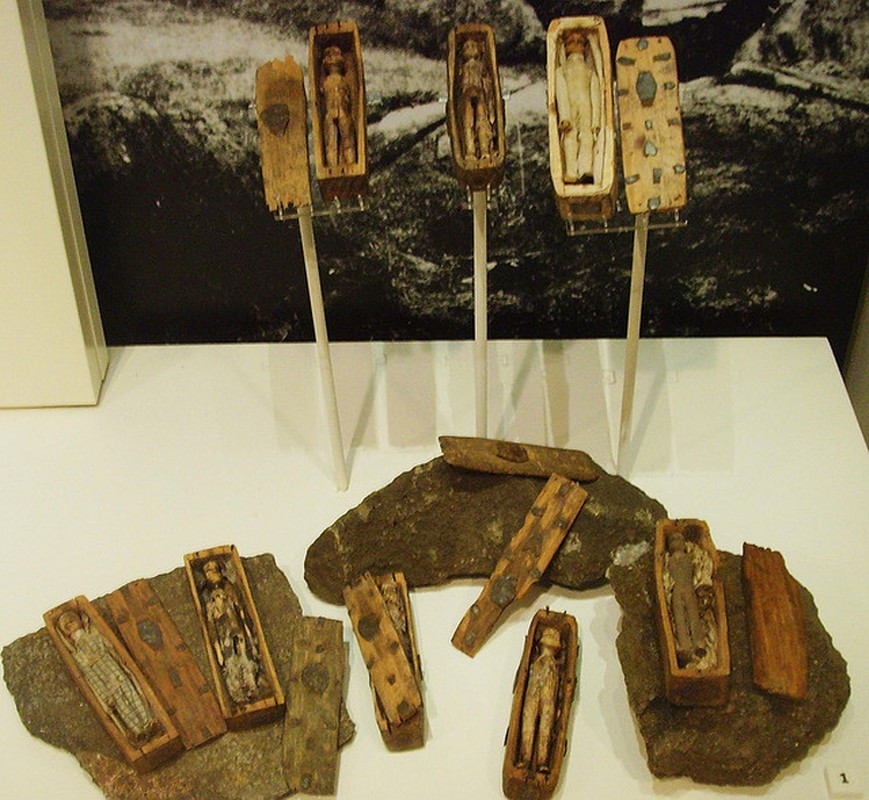 Qua một loạt kiểm tra, các chuyên gia xác định những "xác ướp" trên không phải là thi hài con người hay xác động vật cũng như người ngoài hành tinh. Chúng thực chất là những hình nộm, được làm từ gỗ.