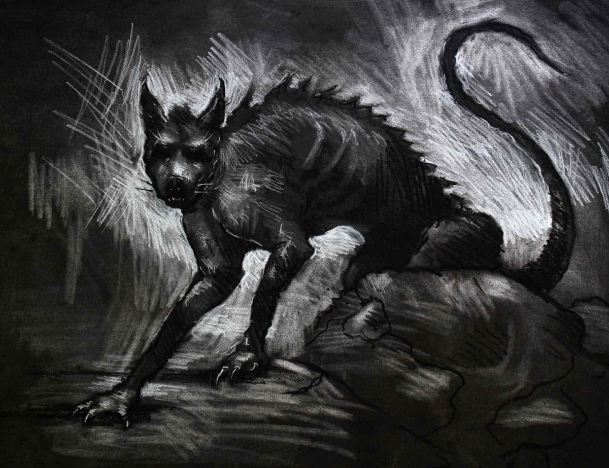 Theo lời kể của một số nhân chứng, sinh vật bí ẩn gây ra cái chết của cừu và những gia súc có vóc dáng to cỡ con gấu nhỏ, cao từ 1,2 - 1,5m, mắt đỏ, móng vuốt dài và trên lưng có nhiều gai nhọn. Không chỉ xuất hiện ở Puerto Rico, quái thú hút máu Chupacabra còn được báo cáo xuất hiện và gây ra các vụ hút máu gia súc đến chết ở Cộng hòa Dominica, Argentina, Bolivia, Colombia, Honduras, El Salvador, Nicaragua, Panama, Peru, Brazil, Chile, Mỹ và Mexico.