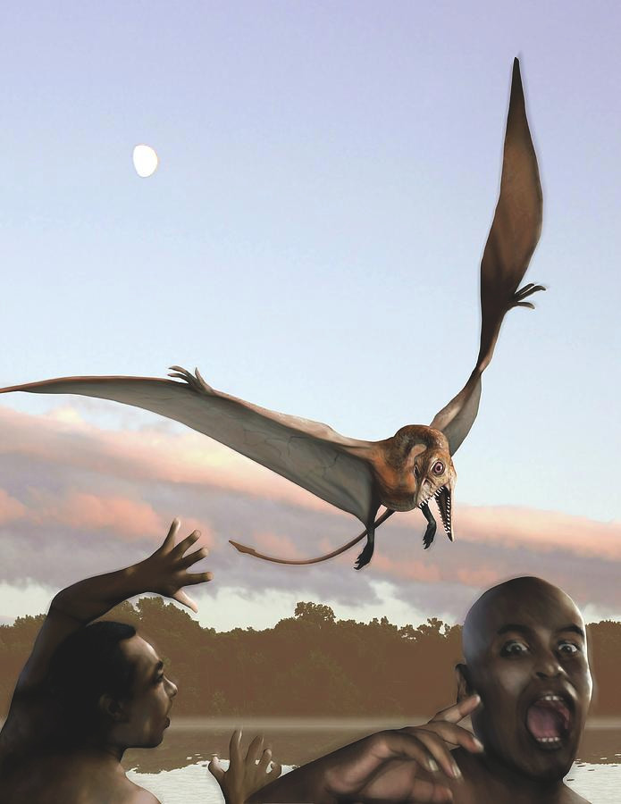 Do không phải vết thương chí mạng nên sinh vật bí ẩn trên vẫn đủ sức bay đi sau khi bị bắn rơi. Điều này khiến nhóm của ông Sanderson vô cùng kinh ngạc cũng như cảm thấy khó hiểu.