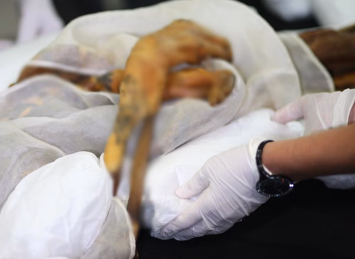 Theo kết quả nghiên cứu ban đầu, "Công chúa Altai" qua đời khi khoảng 25 tuổi và trên cơ thể vẫn còn nhìn rõ nhiều hình xăm chim muông và các thần thú. Để kiểm tra kỹ hơn, các chuyên gia đưa xác ướp đến một phòng thí nghiệm bằng trực thăng.