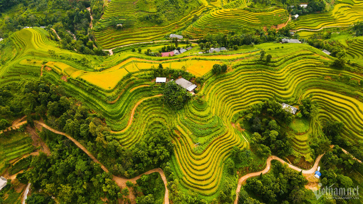 Hàng nghìn thửa ruộng bậc thang trải đều tít tắp, uốn lượn quanh những sườn đồi, lưng núi, tầng tầng lớp lớp đan xen vào những khoảng rừng, khe suối, tạo lên một vẻ đẹp bất tận.