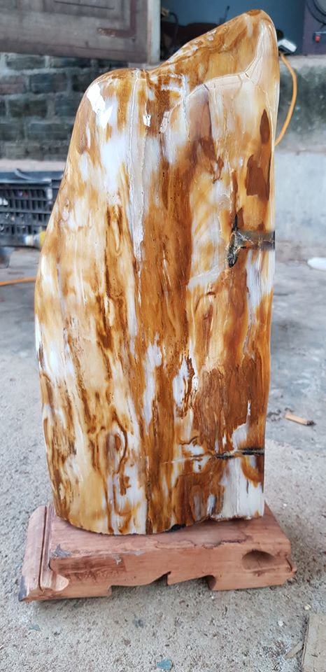 Về nguyên lý, một cây gỗ bình thường trở thành gỗ hóa ngọc sẽ cần phải trải qua quá trình tương tự như xương hóa thạch của động vật. Quá trình này được diễn ra liên tục trong thời gian dài và tùy theo các khoáng thể được thay thế mà tạo nên các loại gỗ hóa ngọc với tính chất và độ cứng khác nhau.