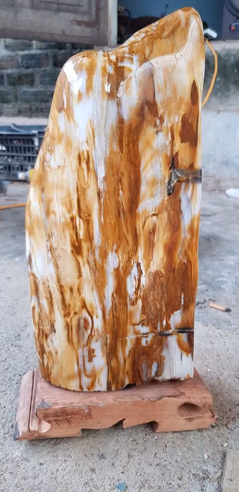 Về nguyên lý, một cây gỗ bình thường trở thành gỗ hóa ngọc sẽ cần phải trải qua quá trình tương tự như xương hóa thạch của động vật. Quá trình này được diễn ra liên tục trong thời gian dài và tùy theo các khoáng thể được thay thế mà tạo nên các loại gỗ hóa ngọc với tính chất và độ cứng khác nhau.