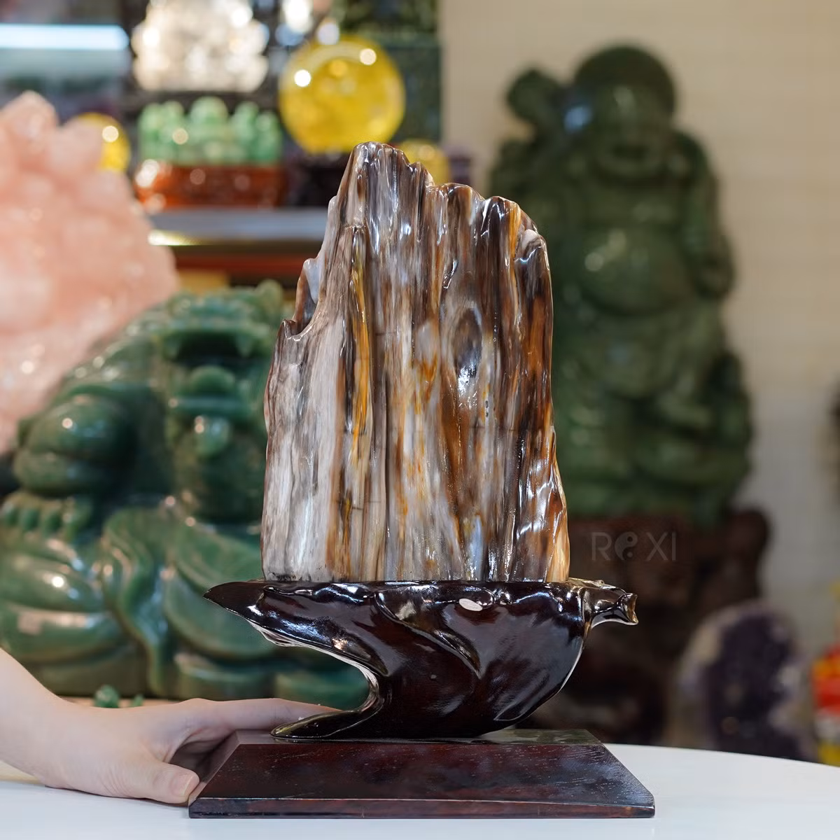 Theo các chuyên gia, những thân cây hóa ngọc này chủ yếu tồn tại từ thời Triassic và Jurassic (tức khoảng từ 100 triệu - 250 triệu năm trước).