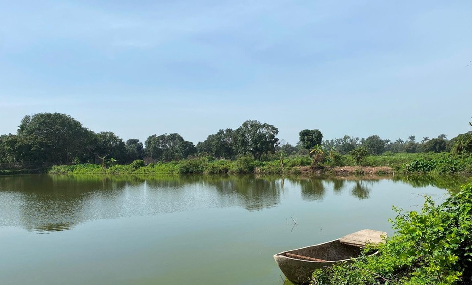 Chèo thuyền trên ao, một học sinh ở Hải Dương bị đuối nước tử vong Cheo thuyen tren ao, mot hoc sinh o Hai Duong bi duoi nuoc tu vong