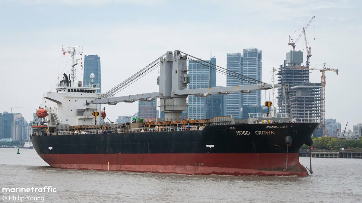 Tau hang dam va tau ca vung bien Hai Phong, 4 nguoi tu vong-Hinh-3