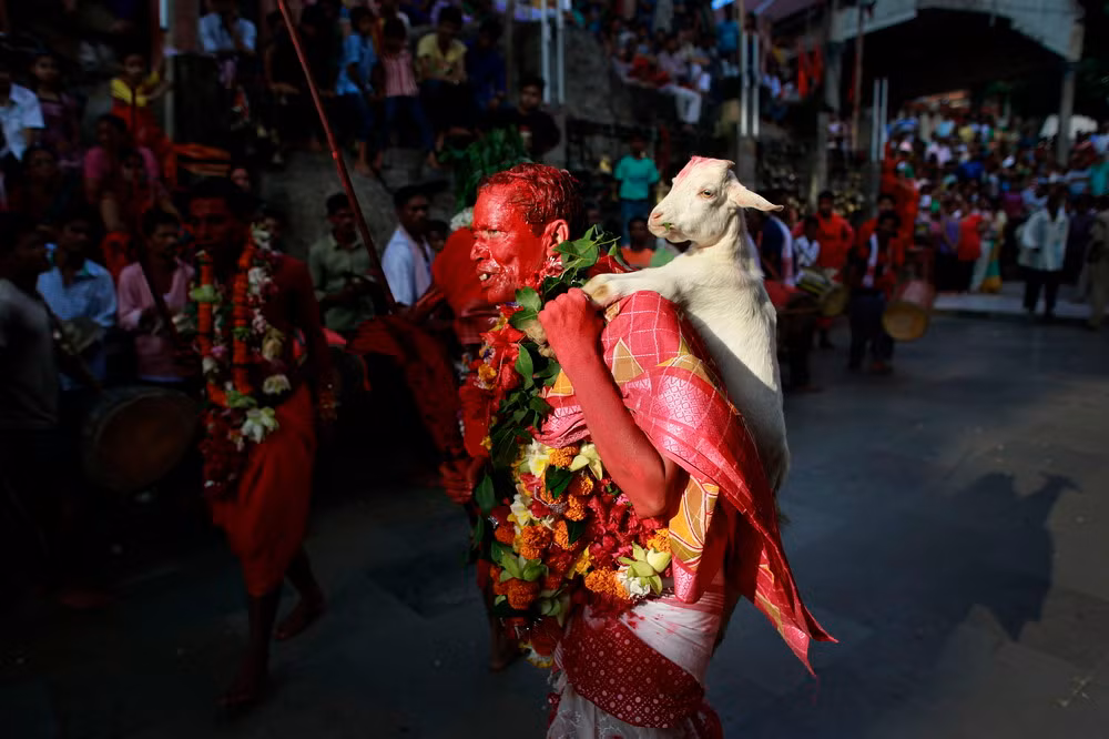 Nghi lễ chém dê để hiến tế cho thần Agni và Soma là một tập quán được thực hiện từ hàng nghìn năm nay của các tín đồ giáo phái Sakta thuộc đạo Hindu ở Ấn Độ.