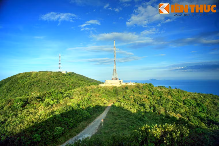 Cảnh rừng núi hùng vĩ của bán đảo Sơn Trà với những cung đường khuất dưới tán cây rừng rậm rạp, phía xa là biển khơi.