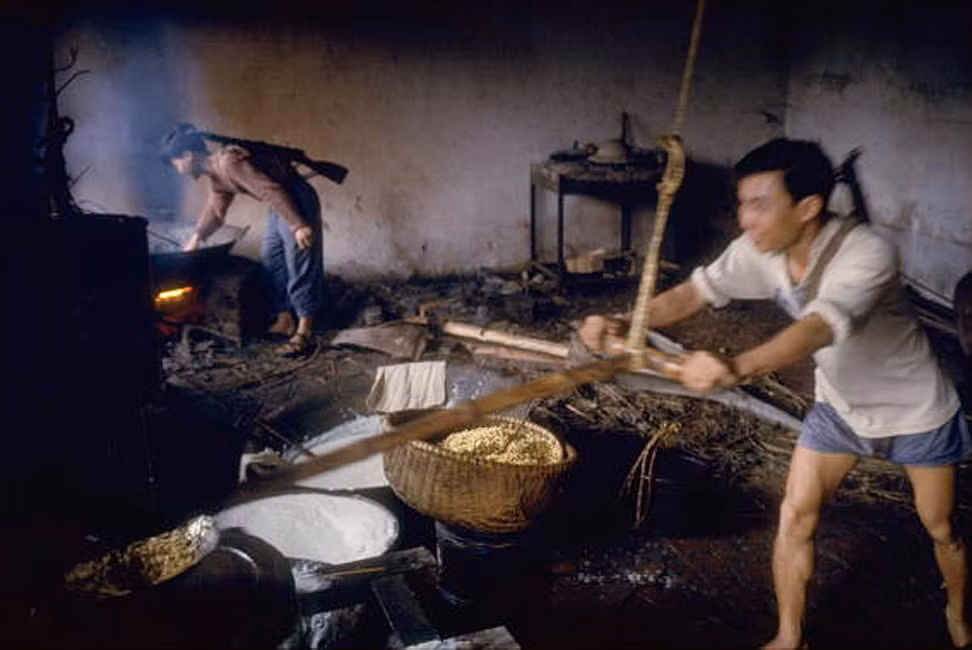 Trong một nhà xưởng người thợ dùng cối xay thô sơ để nghiền những quả dâu dùng nhuộm sợi gai dầu.