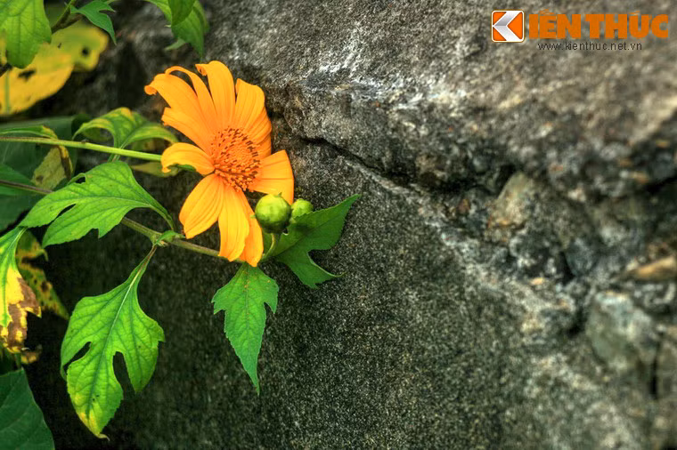 Sau gần 4 thập niên, thị trấn Đồng Đăng đã hồi sinh, nhưng đống đồ nát của pháo đài Đồng Đăng vẫn nằm lại trên đỉnh đồi hoang vu như lời nhắc nhở về một giai đoạn đau thương trong lịch sử.